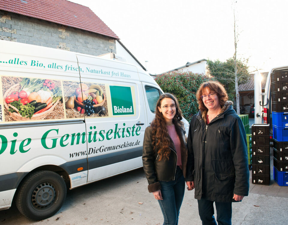 Gemüsekiste, EDV, Netzwerk, Infrastruktur, VPN, Office 365, Backup, TK