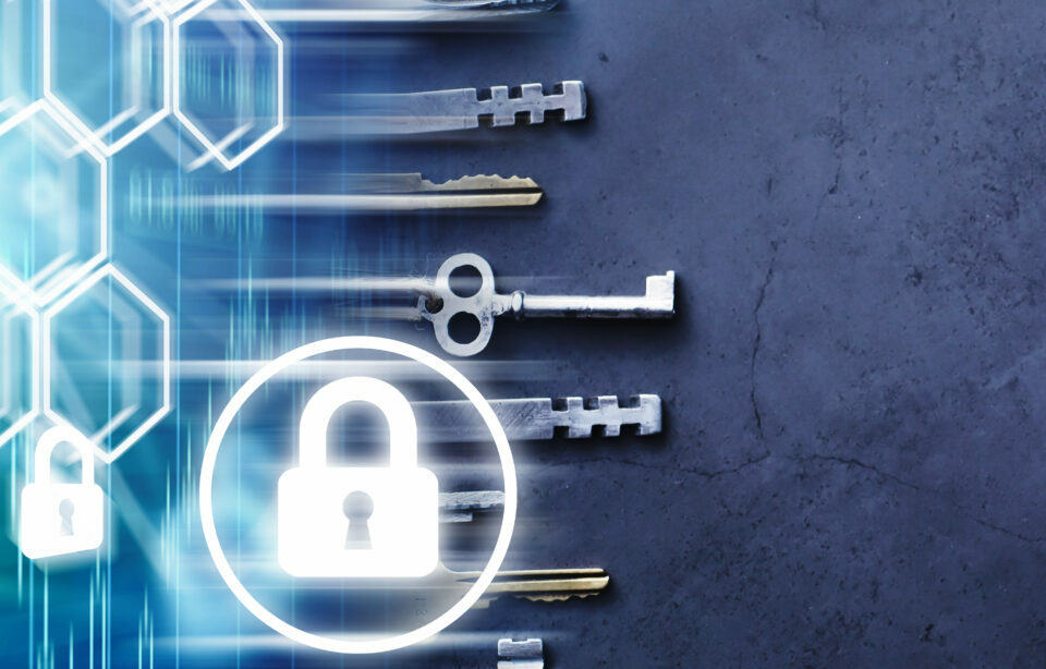 Desktopvirtualisierung, W-LAN Infrastruktur, Microsoft Remote Desktop Services, Virtualisierung, Mailstore Archivierung